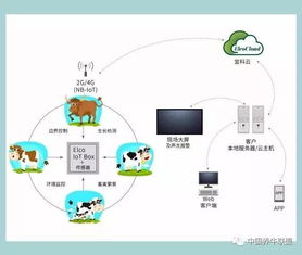 一個你不知道的神器！不了解它，連牛羊都不讓你養，你還談什么智慧養殖？