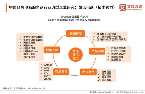 2023年中國(guó)品牌電商服務(wù)商行業(yè)研究報(bào)告 信息技術(shù)咨詢服務(wù)的價(jià)值重塑與趨勢(shì)洞察